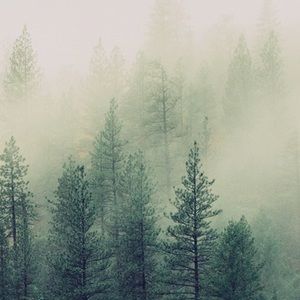 Meet your Posher, Sean